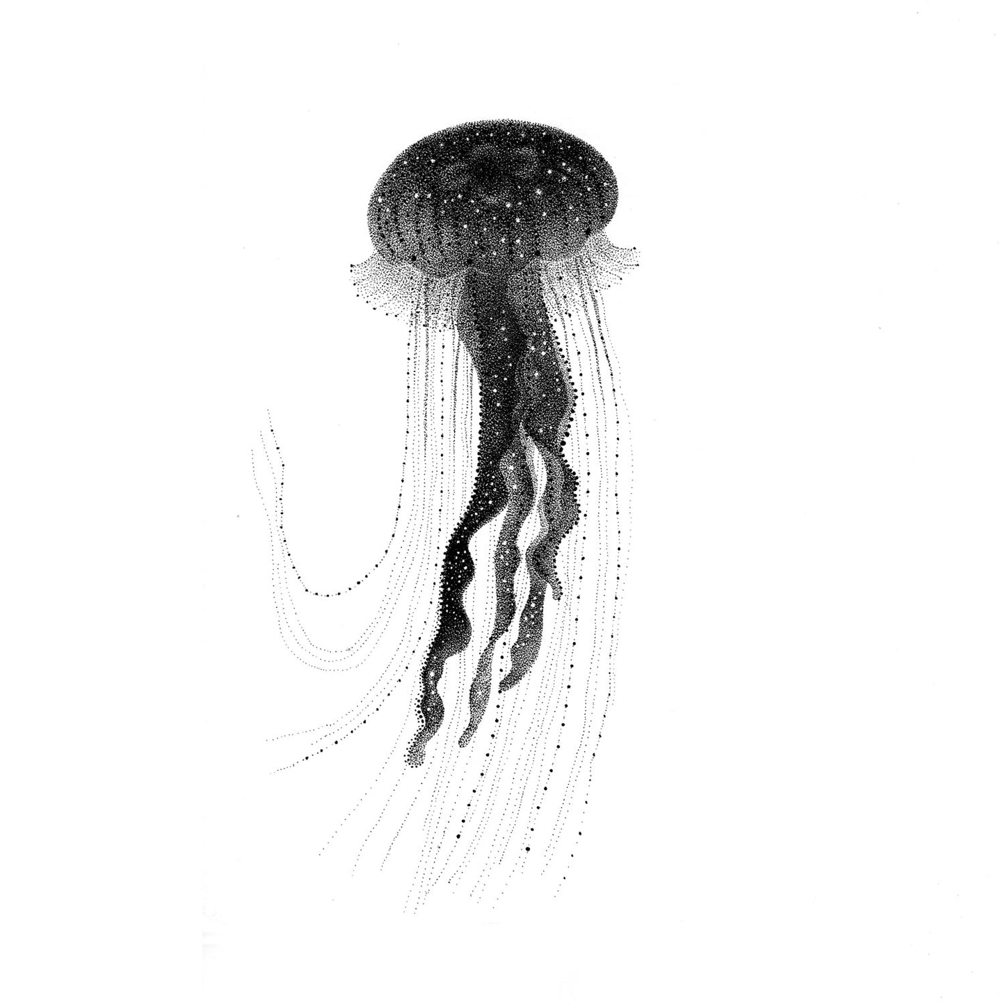 Jellyfish - Original drawing