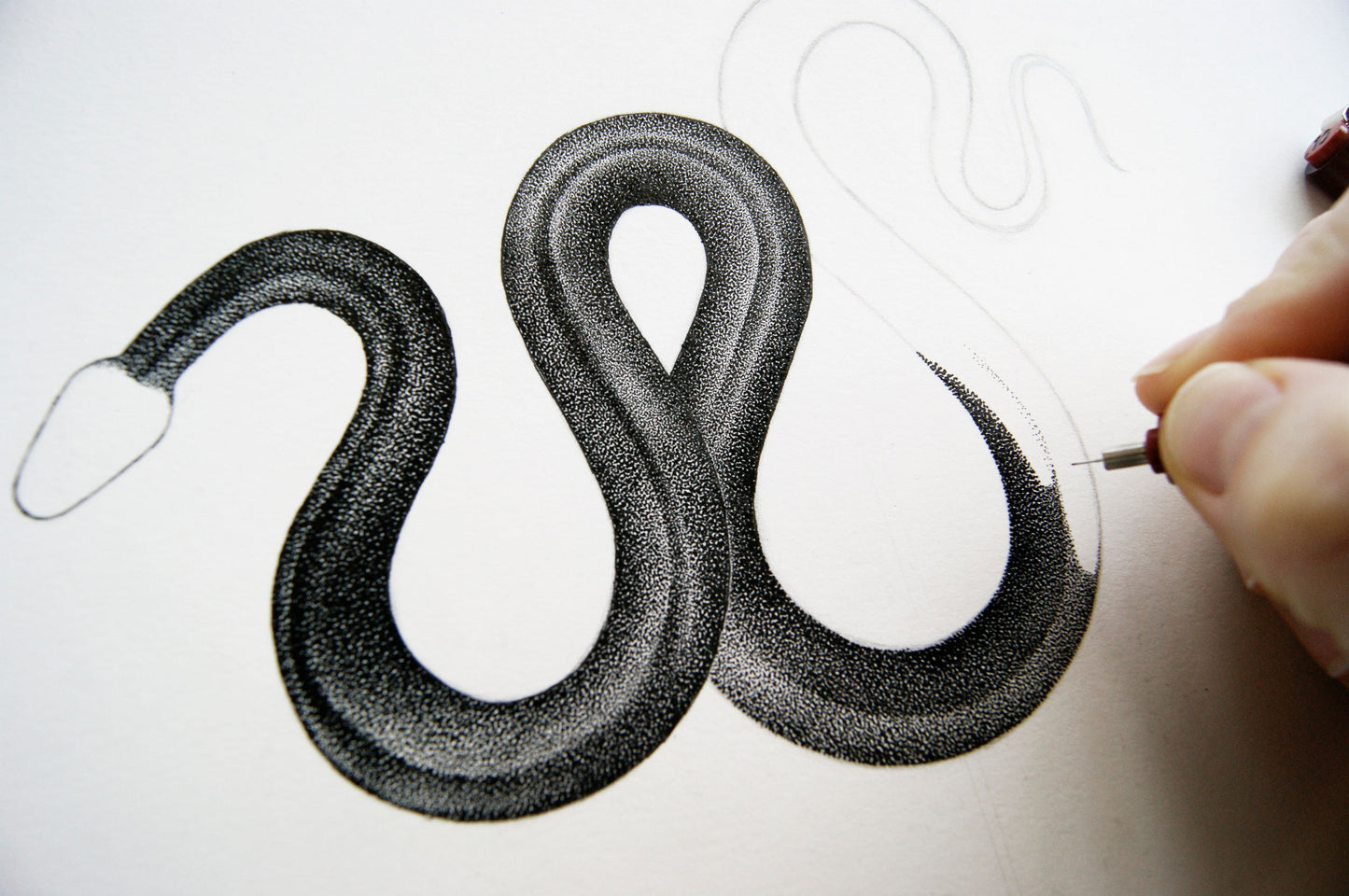 Snake - Original drawing